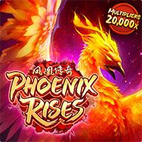 RTP Phoenix Rises