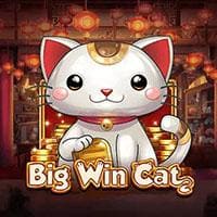 RTP big win cat