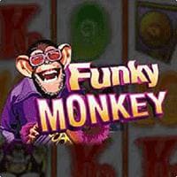 RTP funky monkey