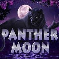 RTP panther moon