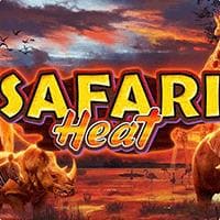 RTP safari heat